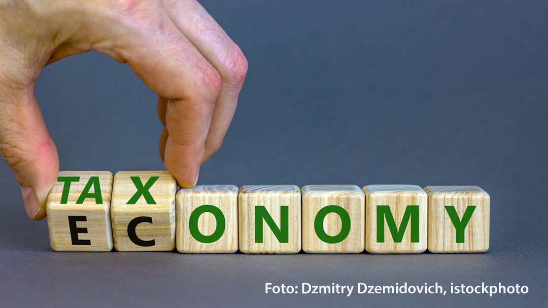 Taxonomie in der Praxis – Erste Erfahrungen